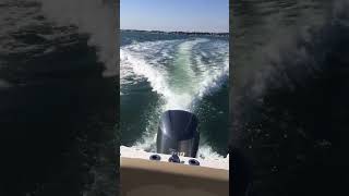 Speed boat| speed boat racing|Summer fun|Beach|water