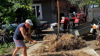 Молочу квасолю ціпом знову. Як я не вмію це робити. Шаолінь відпочиває)))