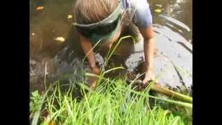 A Summer with The Nature Trust of BC's Conservation Youth Crew