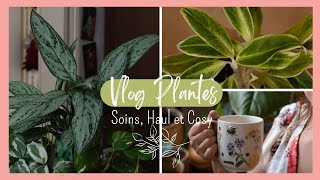 VLOG l Soins, Haul et Cosy