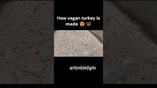 How vegan turkey is made 😲