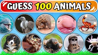 Guess 100 Animals in 3 Seconds | Easy, Medium, Hard, Impossible