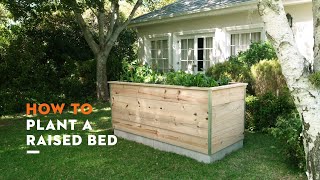 How to Plant a Raised Bed