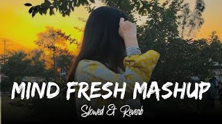 Mind Fresh Mashup Slowed & Reverb | Heart Touching Mashup Songs | Arijit Singh Mashup | Love Mashup