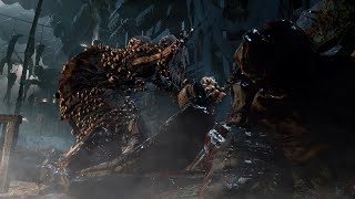 The Witch of Hemwick Boss Fight - Bloodborne shadps4 Gameplay