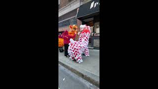 Boston Lunar New Year  Parade 2024 #LionDanceKid #Boston #chinatown #YearofTheDragon