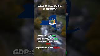 What if New York is a country? #shorts #mapping #newyork