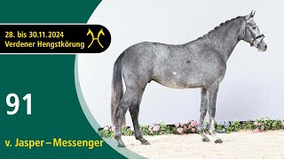 No. 91 Stallion by Jasper - Messenger | Verden Stallion Licensing 2024- Jumping - Nov. 29/30