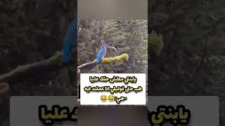 يابنتي طب قوليلي حتى انا عملت ايه 😂