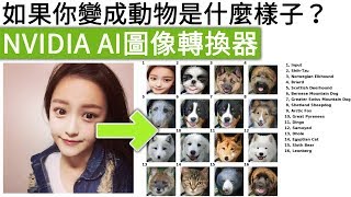 萬物皆可換臉，如果你下輩子變成動物會是什麼樣子？