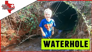 The Waterhole and Potting Plants on the Homestead | #EastTexasHomestead