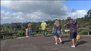 Trou aux cerfs, Volcano in Mauritius 🇲🇺