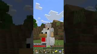 What The Chicken Doing? (Minecraft Live Stream Highlights) #minecraft #livestream #chicken