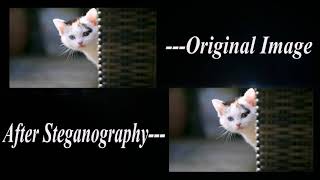 Steganography Explained - Sending Secret Messages in Images | By Amanpreet