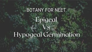 Epigeal Vs Hypogeal Germination