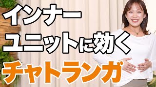 チャレンジ【太陽礼拝】チャトランガ 現役ヨガインストラクターが伝授 腰痛予防法  ベイビーコブラ ｜ インナーユニット 横隔膜 腹横筋 多裂筋 骨盤底筋群 を使っていきましょう