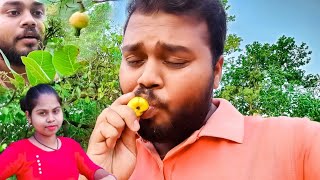 Eating Cashew Fruits in village style🤤 | Village lifestyle vlog | Satyaa Vlogs