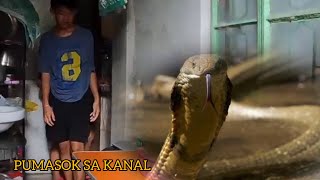 BINATILYO TILA NA TRAUMA SA NAKITA #cobraprince