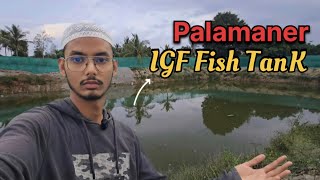 Palamaner Igf Fish Tank 🐟 #palamaner #fishing #igffarm