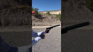 Suppressed Smith & Wesson .22 lt