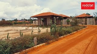 The Palmyrah House, Mannar | Hotels in Sri Lanka