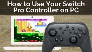 How to Use Your Switch Pro Controller on PC