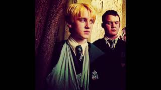 noo.. f-e-r-re-t b-o-y I named you || #dracomalfoy Draco malfoy x y/n #hogwarts