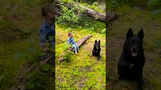 Daddy, toddler & a #threeleggeddog 🐕‍🦺👦🏻 #dogandbaby #naturelover #trekking #goodvibes #family