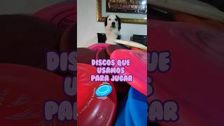 Discos o fresby que usamos para nuestros perros #dog #discdog #pets #dogspot #bordercollie #asmr