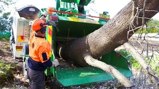 Extreme Powerful Wood Chipper Machines Working, Fastest Crazy Tree Shredder Machines