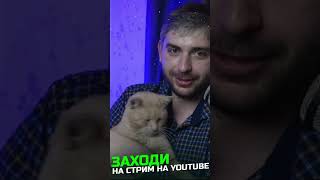 КОТ СТРИМЕР горе в семье... #shorts #hanigun #котики