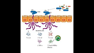 Microbiome Workshop #3 March 3,2021