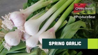 Produce Beat: Spring Garlic