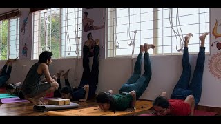 The One Yoga Technique Your Nervous System Is Begging you to Learn!Shoulderstand Series| Harsha Yoga