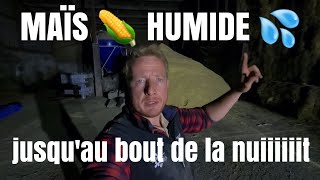 C'EST HUMIDE, C'EST DU MAÏS ! C'EST DU MAÏS HUMIDE