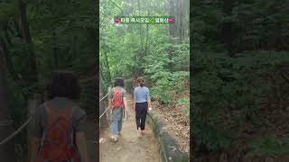 🌿따동 독서모임🌿/법화산 맨발산책로/'하루의 사랑작업'/맨발 걷기 좋은 날 239/맨발산행루틴