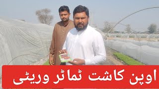 کیا اپ فروری میں ٹماٹر کاشت کرنا چاہتے ہیں تو یہ ورائٹی لگا لیں ۔