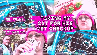 Taking My Cat for his Vet Checkup! | Desert Mermaid Daily life vlogs