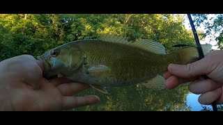 More Scioto Smallmouth