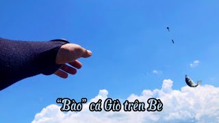 Một ngày “bào” cá Giò trên Bè