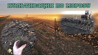 Предпосевная культивация по морозу. Кировец, культиватор. Зима 2023