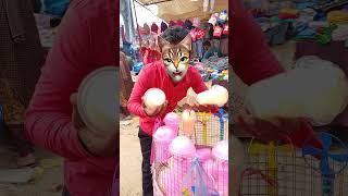 बिल्ली की दूध खतम funny funny funny funny videos 🔥😂🤣 #cat #milk #funny #shorts