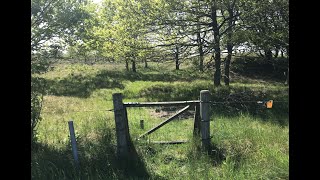 Præstens Hede - Vandretur på 0,5 km