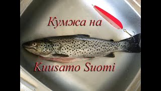 Кумжа на Kuusamo Suomi 90/30 /fishing for trout