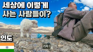 인도 4200m 고산지대 창파족 찾기 🇮🇳 인도 라다크 안레 - 세계여행 [46]