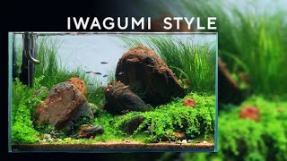 SETUP HỒ THỦY SINH PHONG CÁCH IWAGUMI - ĐÁ CUỘI VÂN MÂY - IWAGUMI AQUASCAPE 60CM -