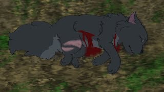 The True Hero - Cinderpelt Pmv