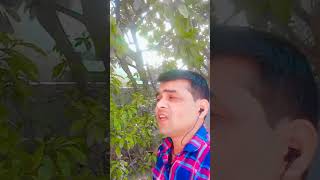 कितने मजनू हुए एक लैला नहीं #Dolip Kumar vlog105 #shorts #trending video #viral video #blogs video