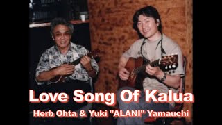 [BGM] Love Song Of Kalua / Herb Ohta & Yuki "ALANI" Yamauchi