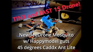 NewBeeDrone Mosquito @ 45 degree uptilt = FAST